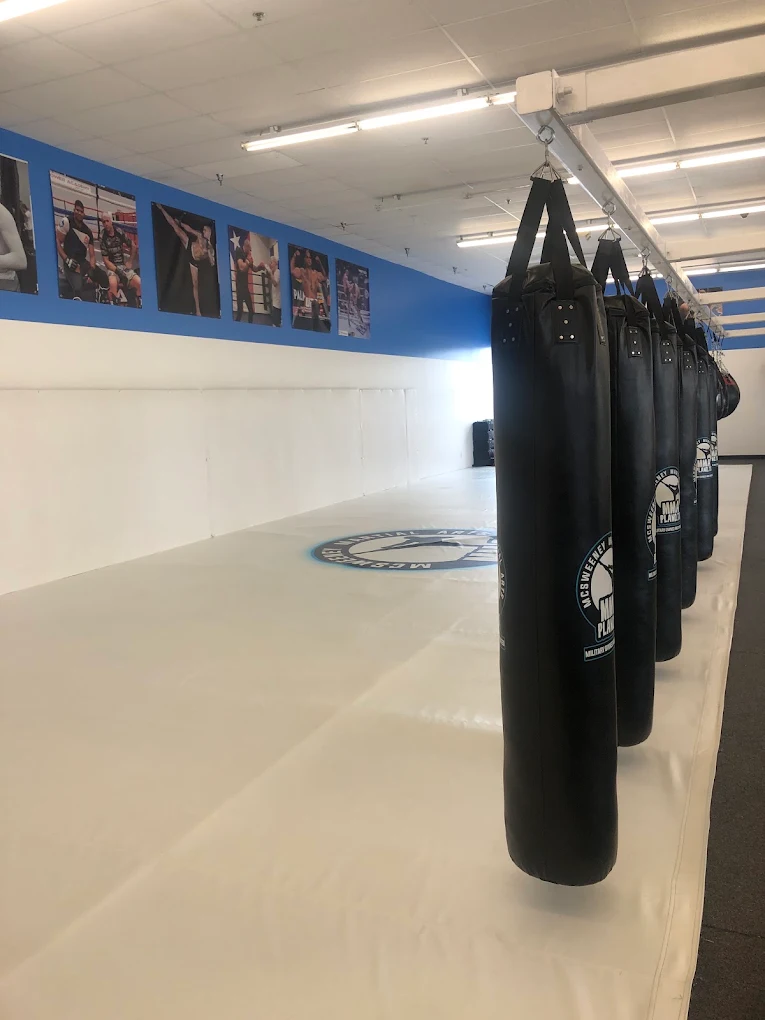 Row of heavy bags on the training floor